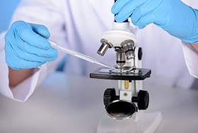 网站上线过后如何做好文章维护？